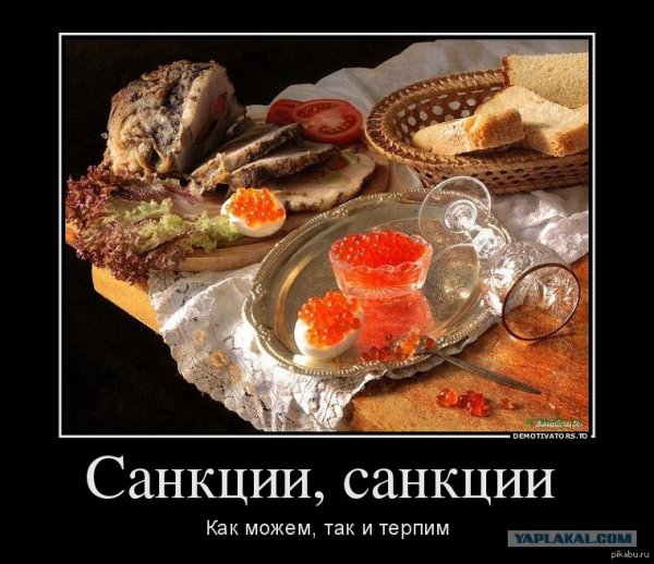 Санкции против РФ приколы