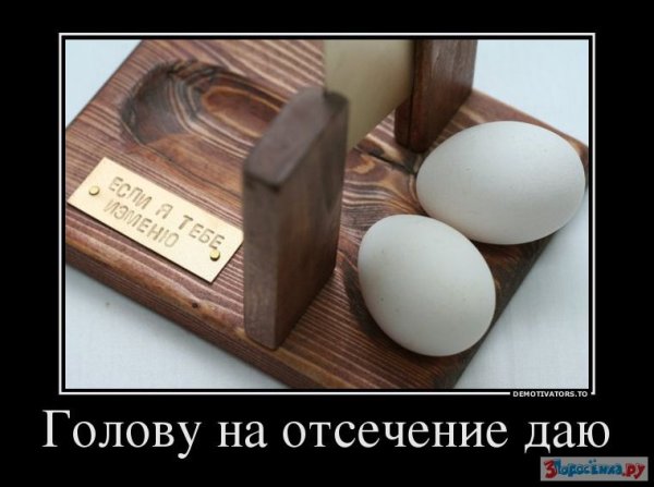 Демотиваторы про яйца