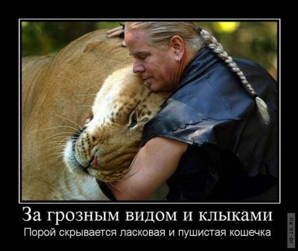 Демотиваторы с животными