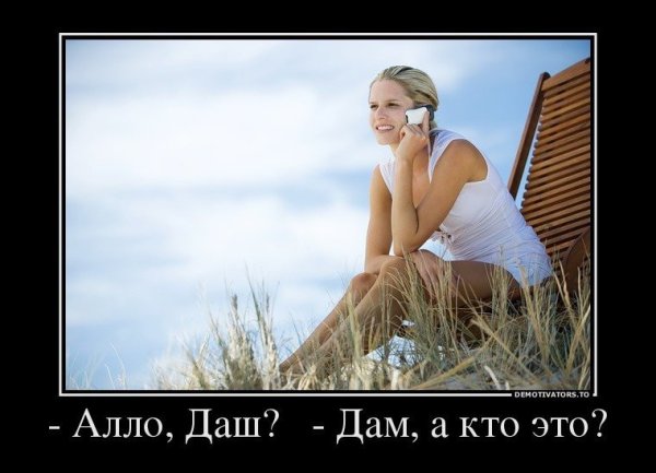 Демотиваторы про дошик