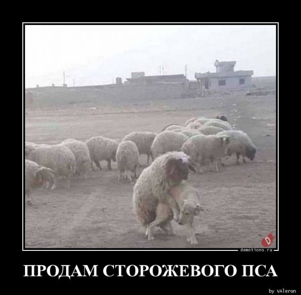 Система демотиваторы