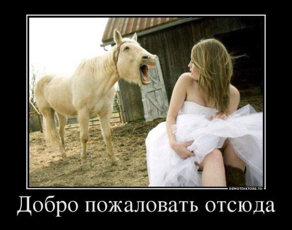 Смешной принц на белом коне