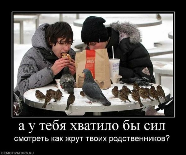 Демотиваторы про родственников