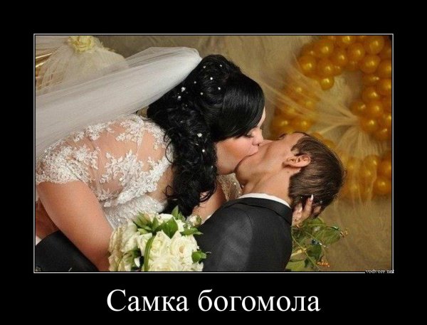 Прикольные демотиваторы