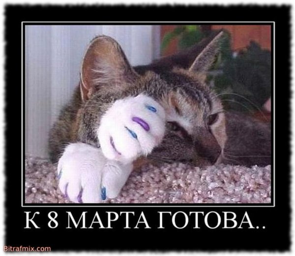К 8 марта готова