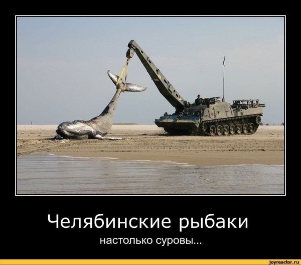 Челябинские настолько суровы