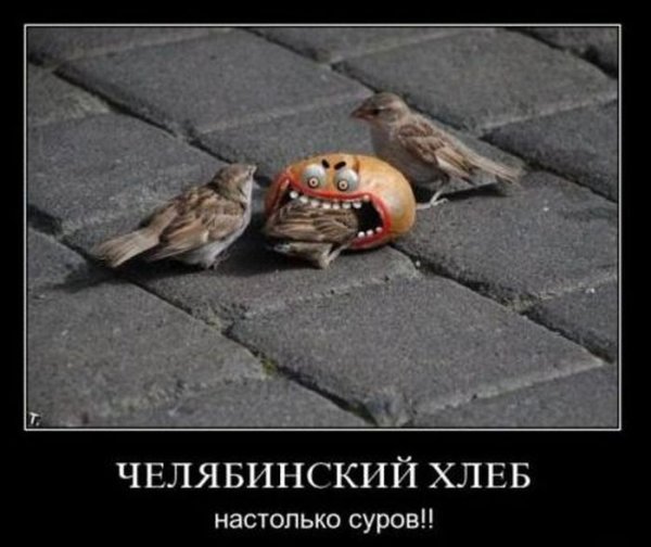 Суровые челябинские демотиваторы