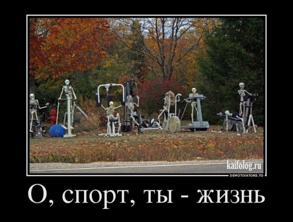 Демотивыаторы про спирт