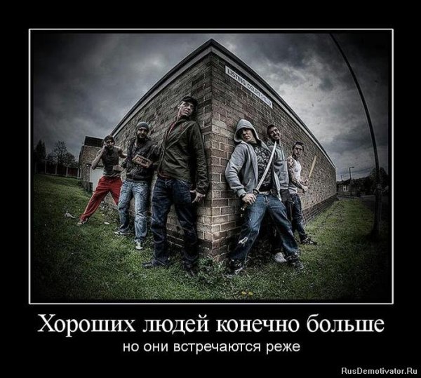 Лучший демотиватор