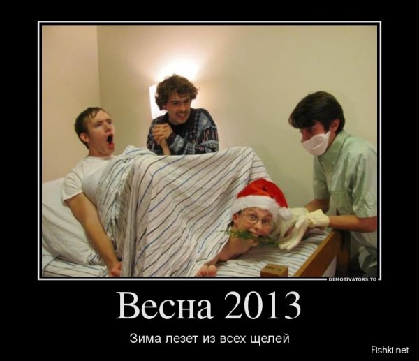 1 Декабря демотиваторы