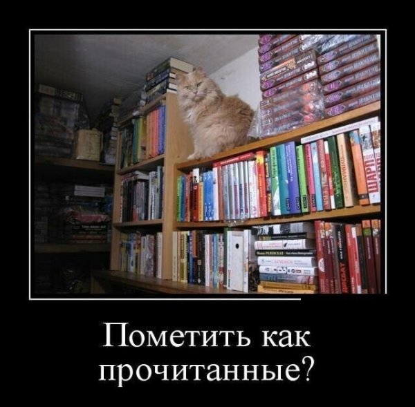 Книга как понять женщину прикол