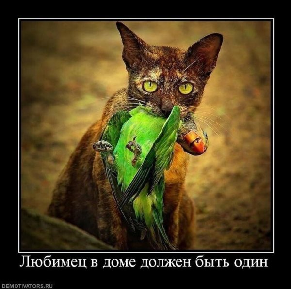 О смысле жизни