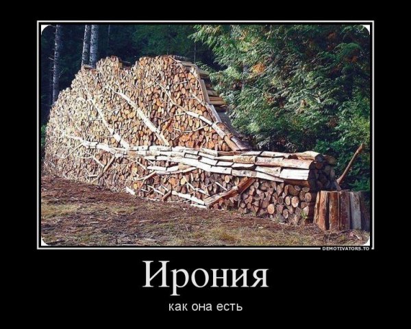 Дрова приколы