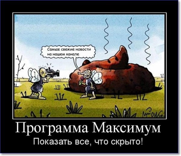 Мотиватор и демотиватор