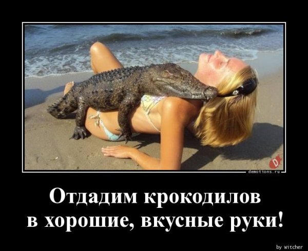 Прикольные картинки для поднятия настроения демотиваторы