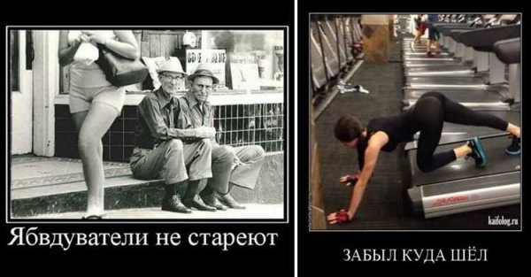 Ябвдуватели не стареют