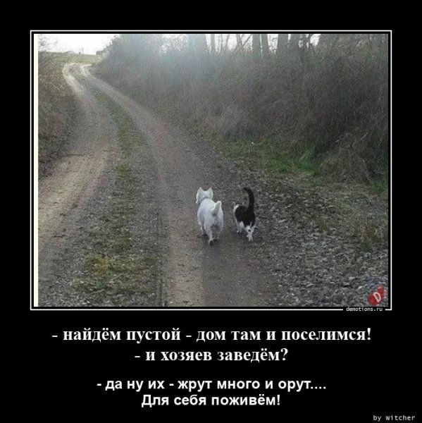 Свято место пусто не бывает