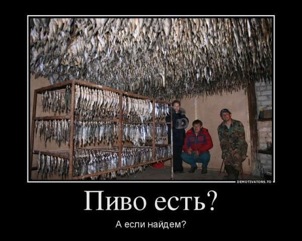 Приколы со смыслом