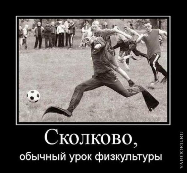 Теория заговора овцы