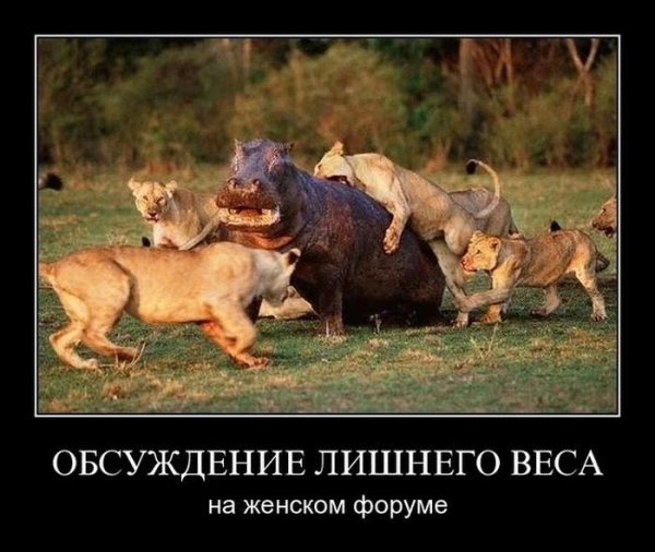 Прикольные демотиваторы