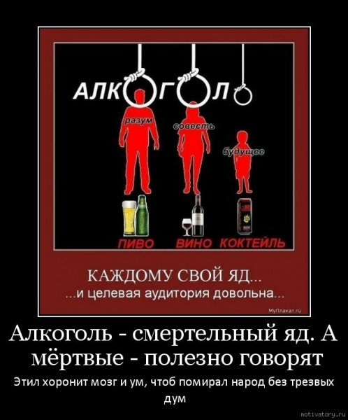 Алкогольные демотиваторы