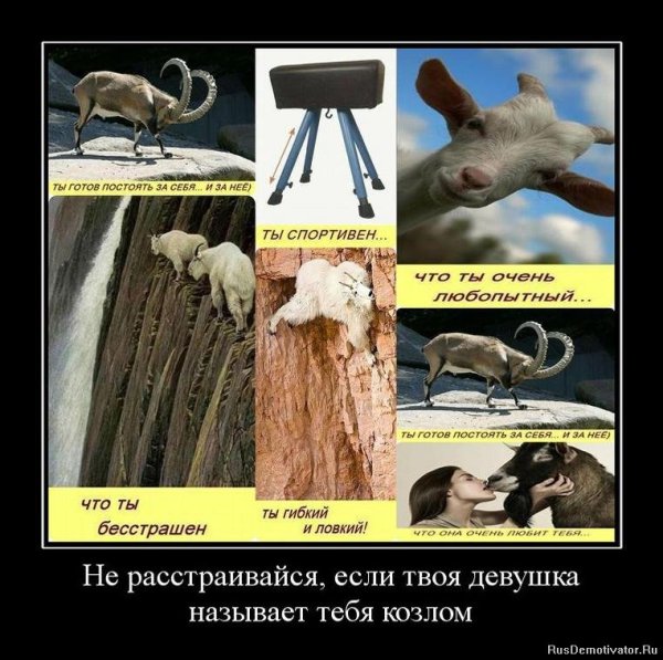 Козел демотиватор