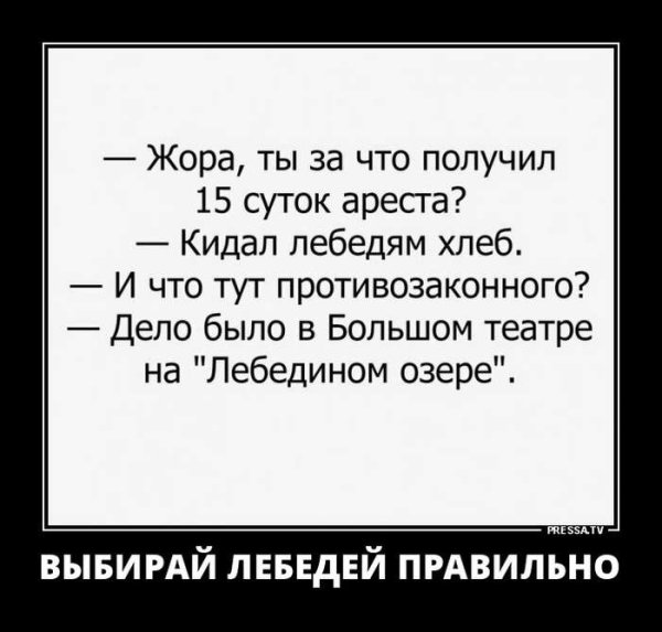 Юмор на злобу дня