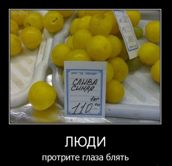 Прикол демотиватор на злобу дня