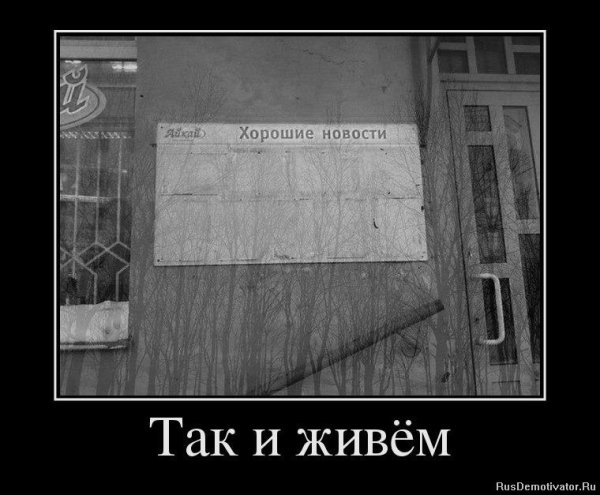 Приколы на злобу дня