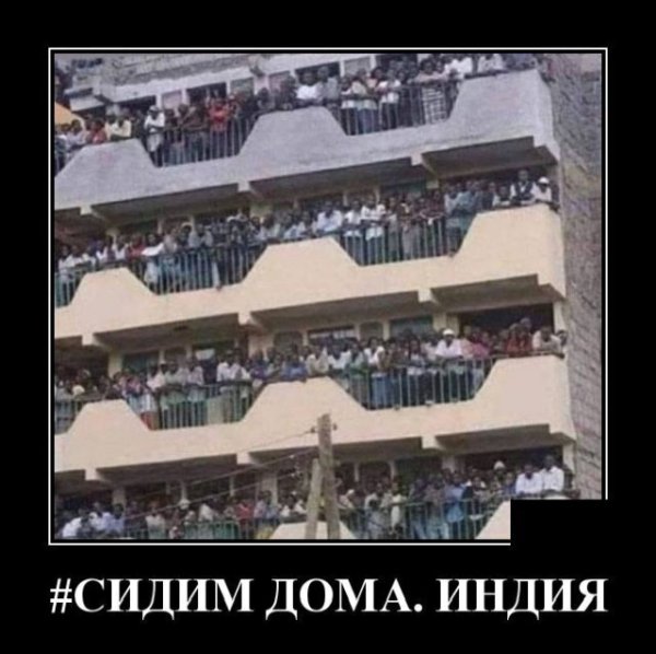 Цитаты на злобу дня
