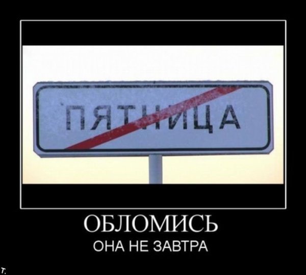 Среда демотиваторы