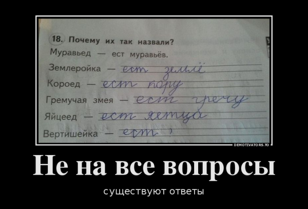 Среда демотиваторы