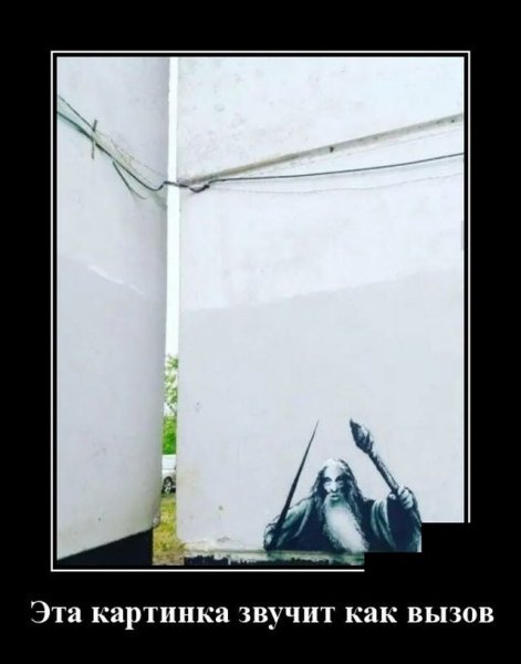 Котик в среду
