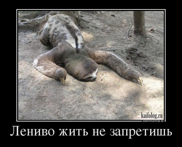 Трудолюбие и энергичность