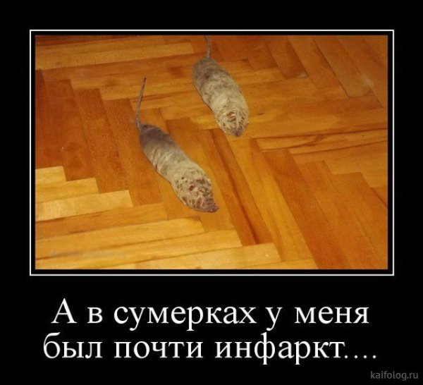 Лучшие демотиваторы недели