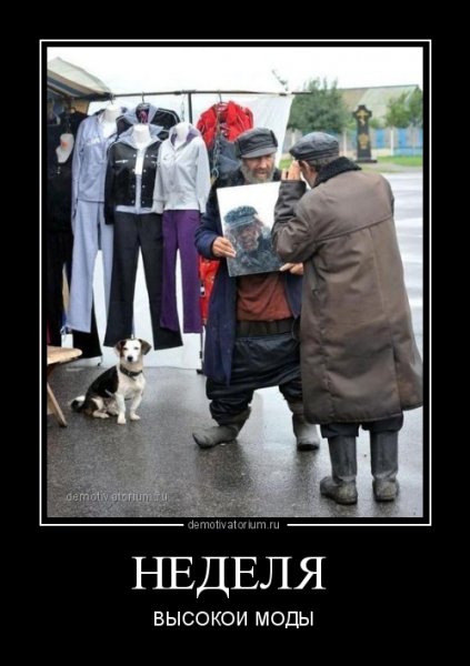 Демотиваторы недели смешные