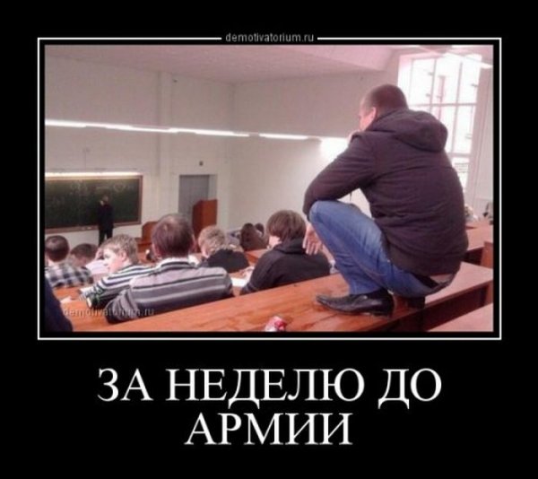 День знаний демотиватор