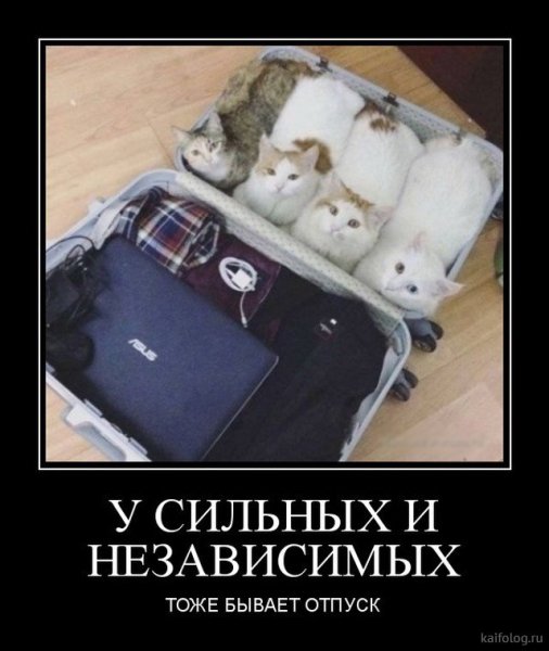 Лучшие демотиваторы недели