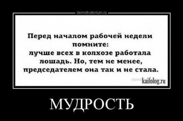 Хорошей недели демотиваторы