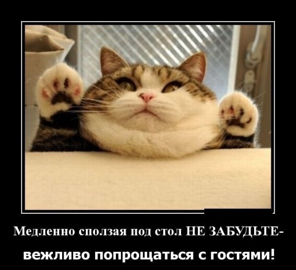 Весёлые демотиваторы для поднятия настроения