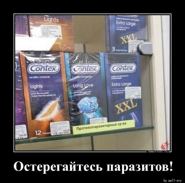 Приколы и демотиваторы для поднятия настроения