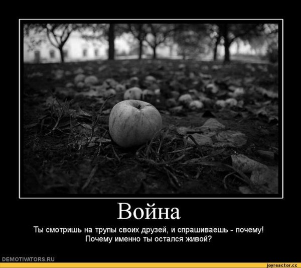 Демотиваторы про войну со смыслом