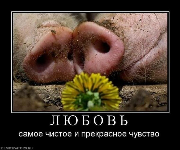 Приколы про любовь