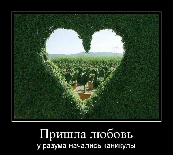 Шутки про любовь