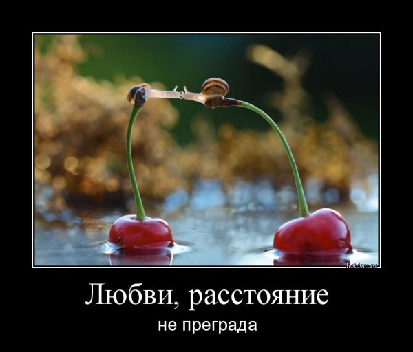 Прикольные демотиваторы про любовь