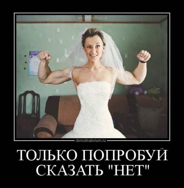 Демотиваторы смешные свежие