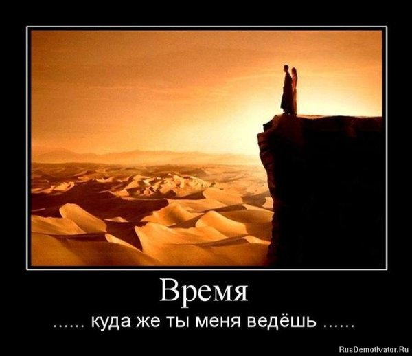 Мудрые демотиваторы