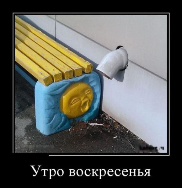 Воскресенье утро приколы