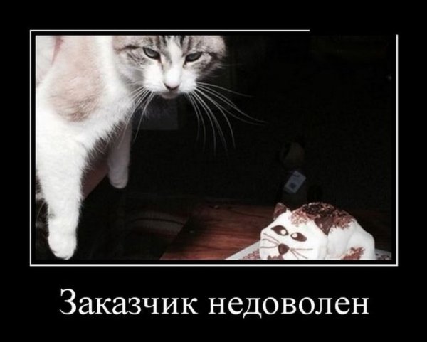 Демотиватор заказчик недоволен