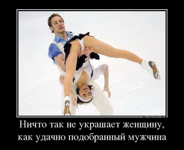 Весна коты демотиваторы